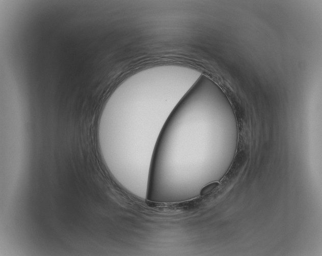 X0000113040601200908271036