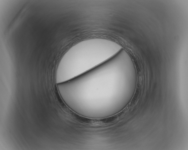X0000113040605200908271036