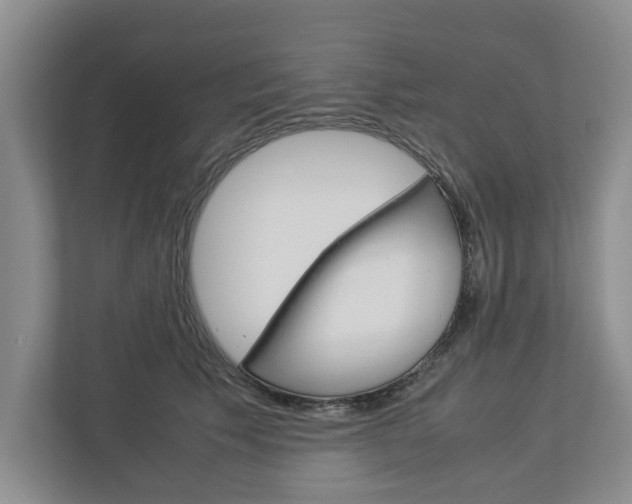 X0000113040609200908271036