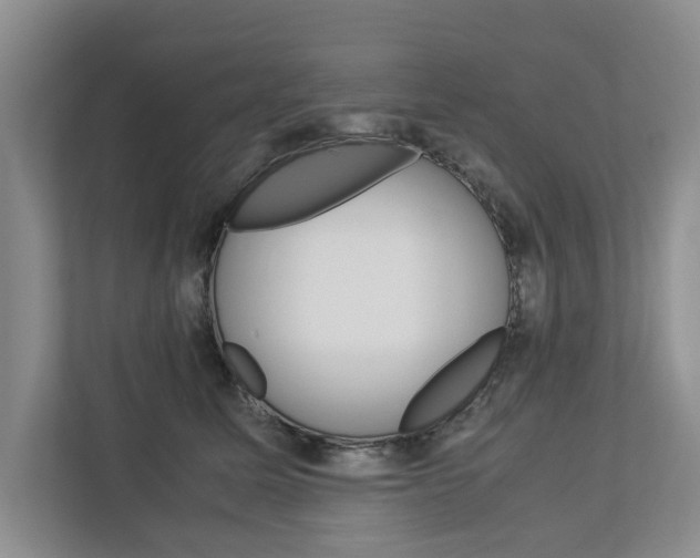 X0000113040611200908271036