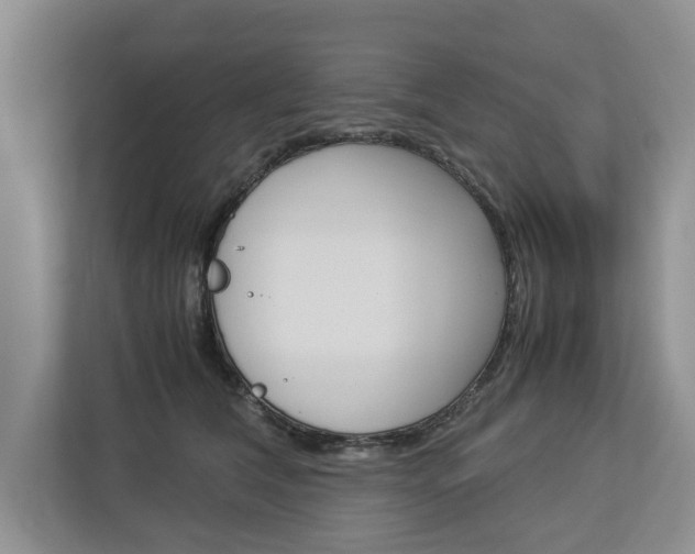 X0000113040612200908271036