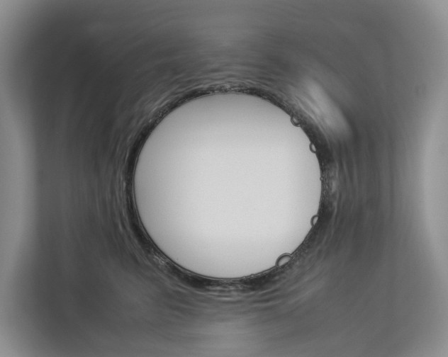 X0000113040615200908271036