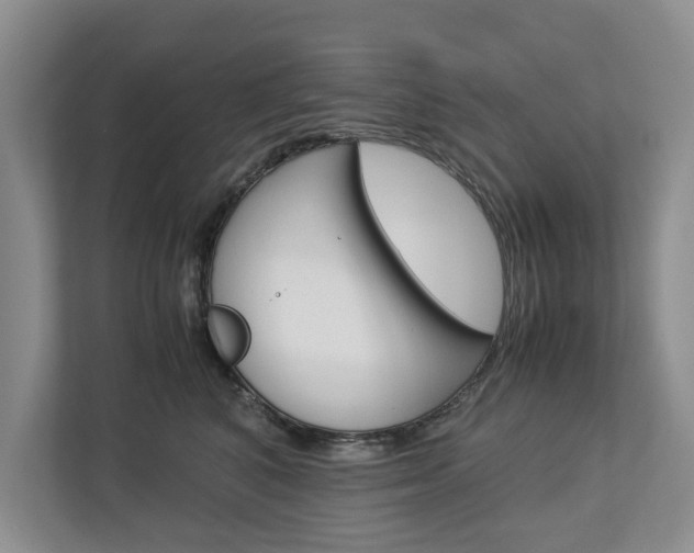 X0000113040616200908271036