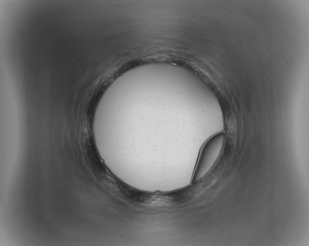 X0000113040617200908271036