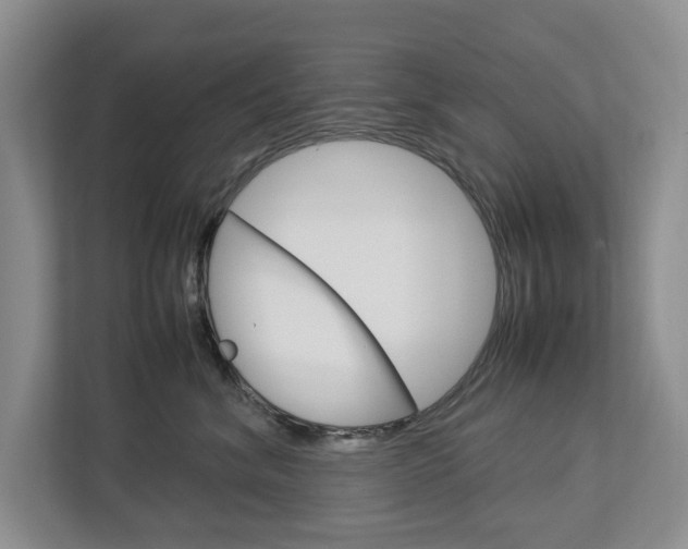 X0000113040620200908271036