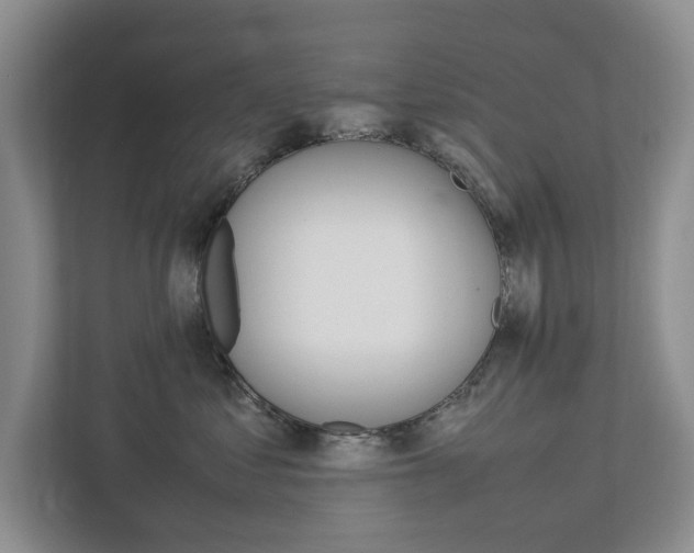 X0000113040621200908271036