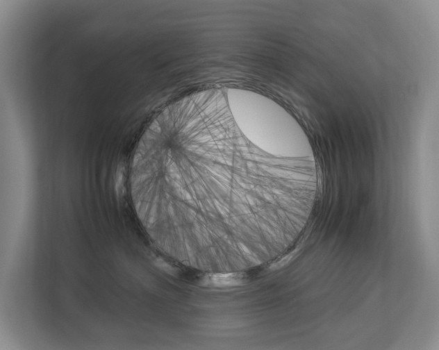 X0000113040622200908271036