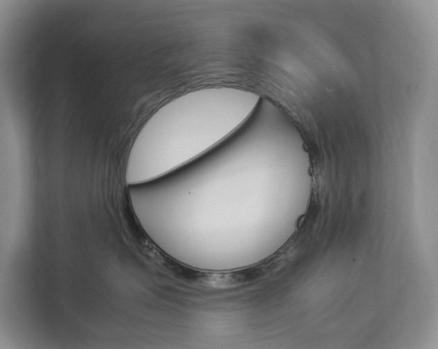 X0000113040623200908271036
