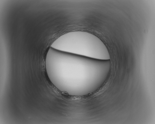 X0000113040624200908271036