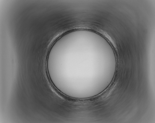 X0000113040625200908271035