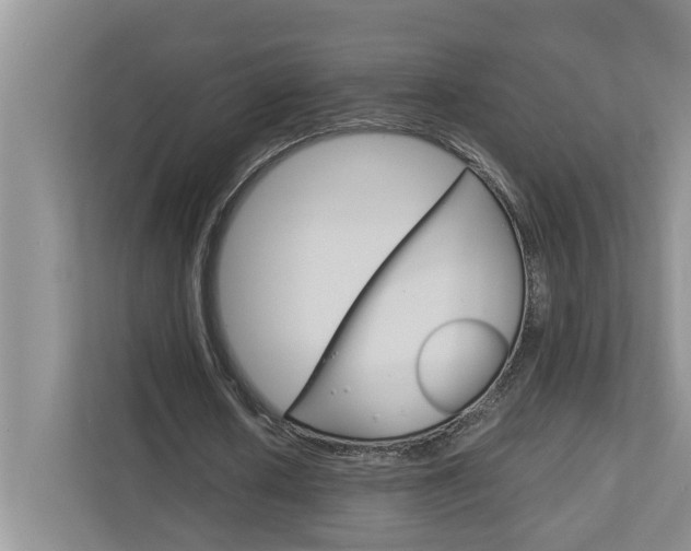 X0000113040626200908271035