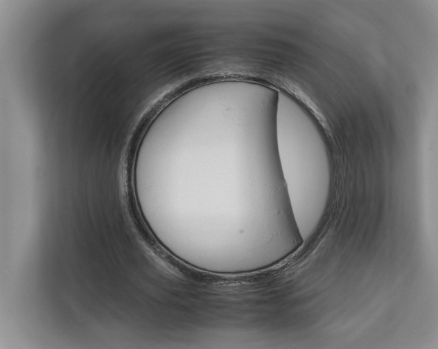 X0000113040629200908271035