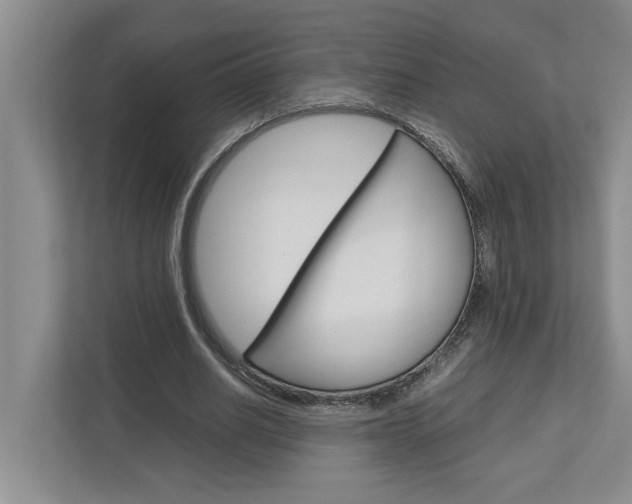 X0000113040630200908271035
