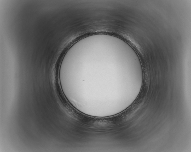 X0000113040631200908271035