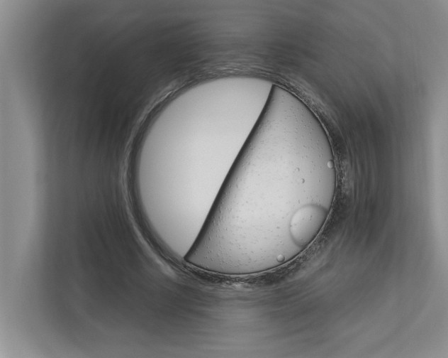 X0000113040634200908271035