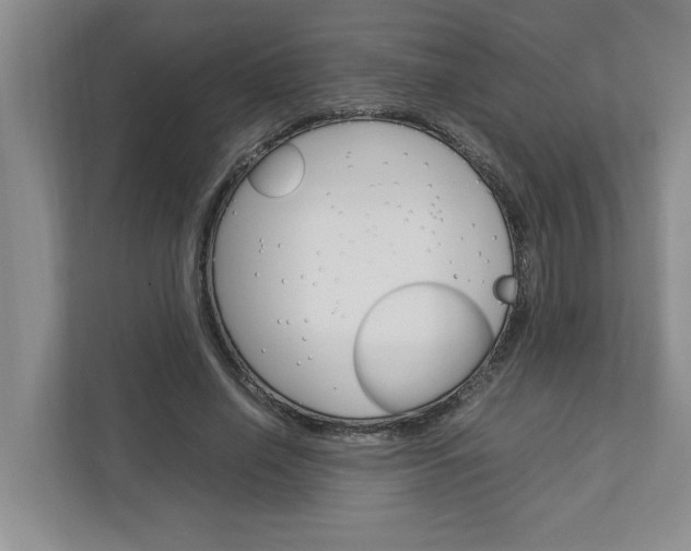 X0000113040638200908271035
