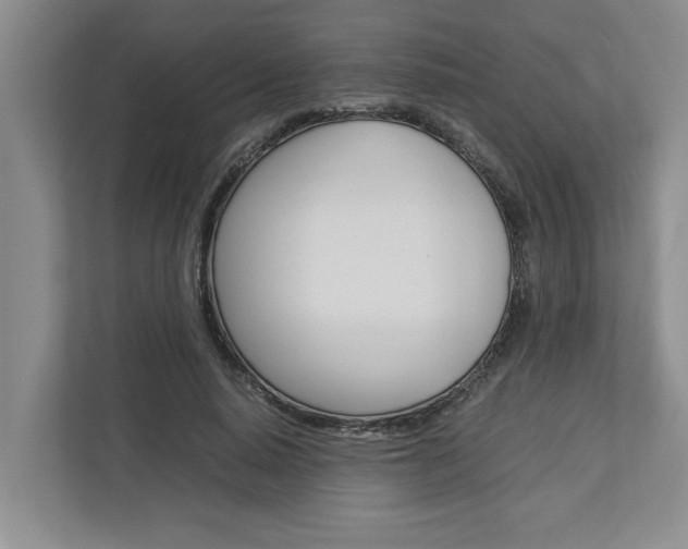 X0000113040640200908271035