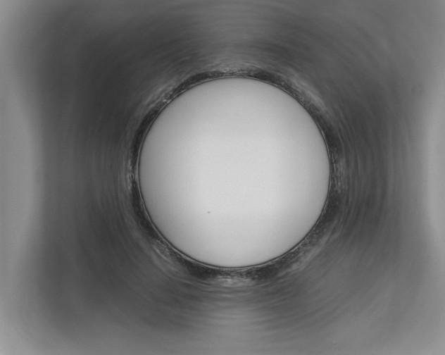 X0000113040644200908271035