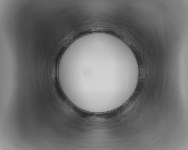 X0000113040648200908271035