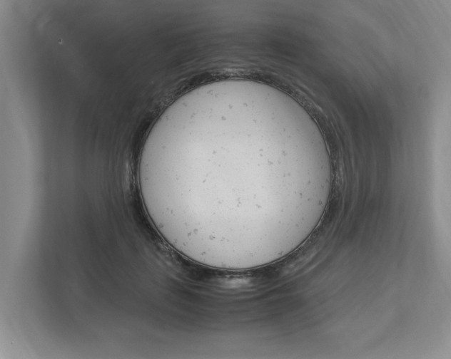 X0000113040651200908271035