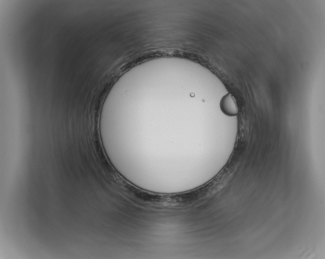 X0000113040656200908271035