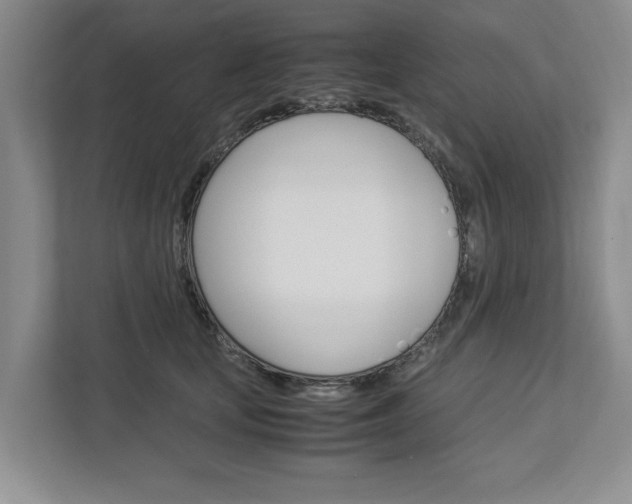 X0000113040659200908271035