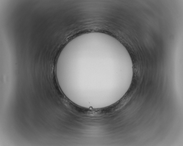 X0000113040660200908271035