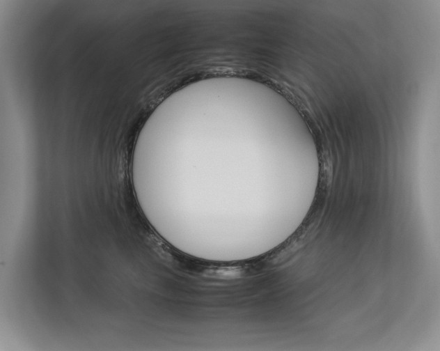 X0000113040665200908271036