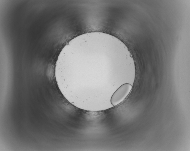 X0000113040672200908271036