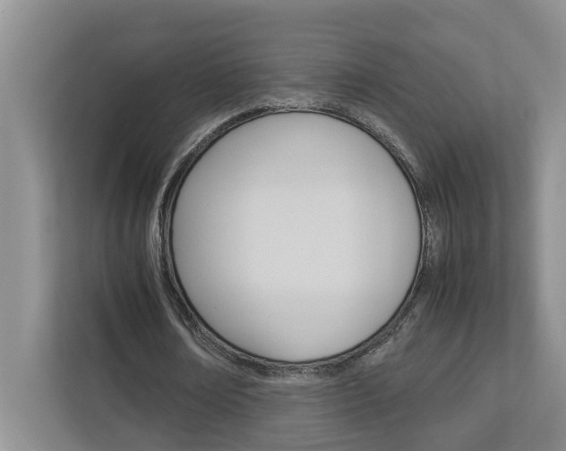 X0000113040674200908271035