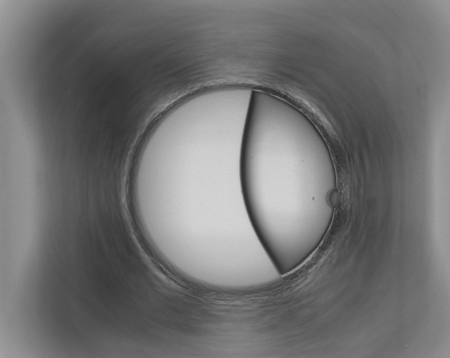 X0000113040677200908271035