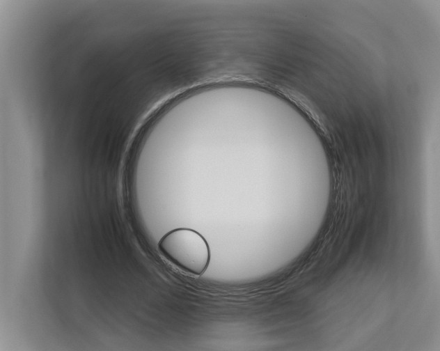X0000113040680200908271035