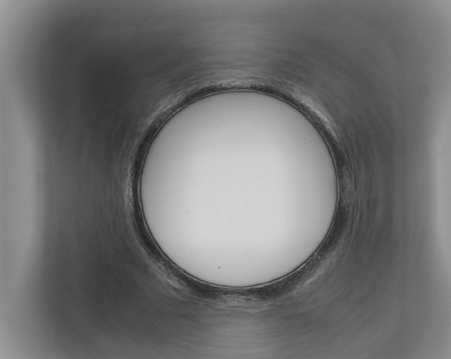 X0000113040681200908271035