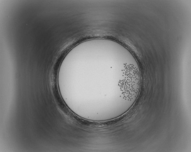 X0000113040683200908271035