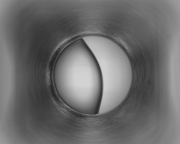X0000113040684200908271035