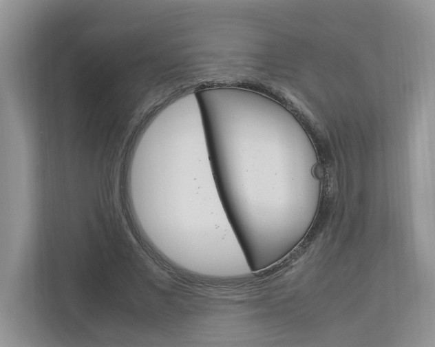 X0000113040685200908271035