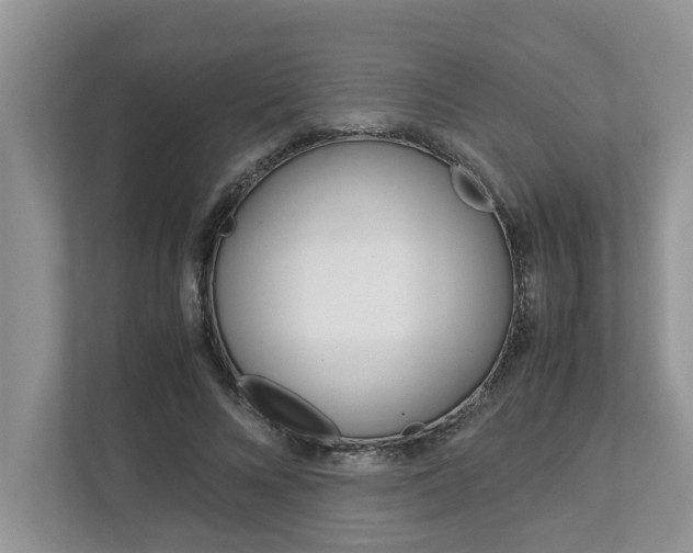 X0000113040688200908271035