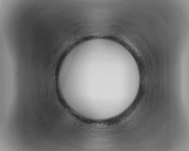 X0000113040689200908271035