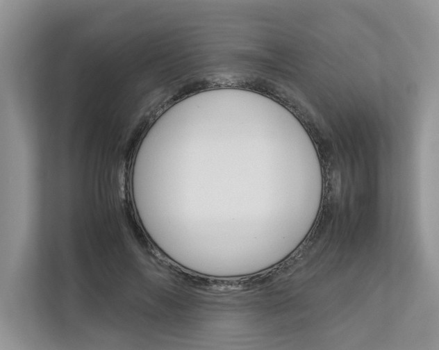 X0000113040694200908271035