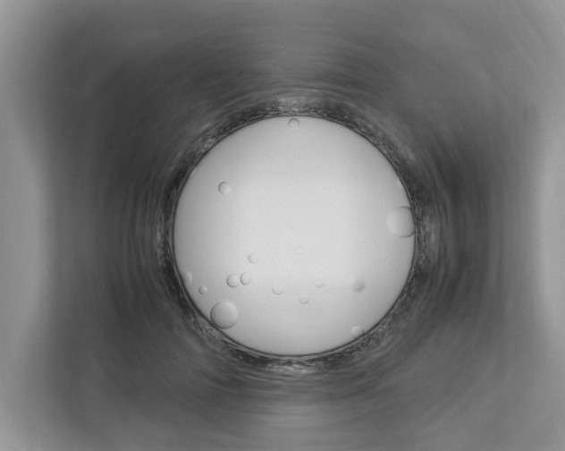 X0000113040698200908271035