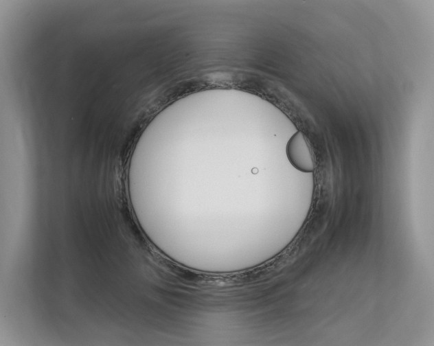 X0000113040702200908271035