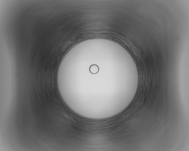 X0000113040704200908271035