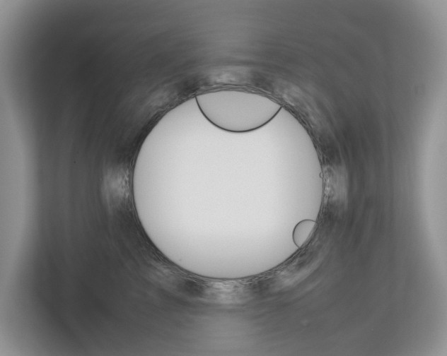 X0000113040713200908271034