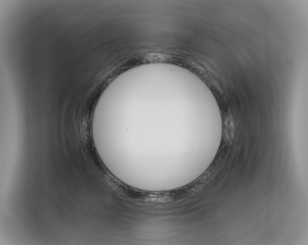 X0000113040714200908271034