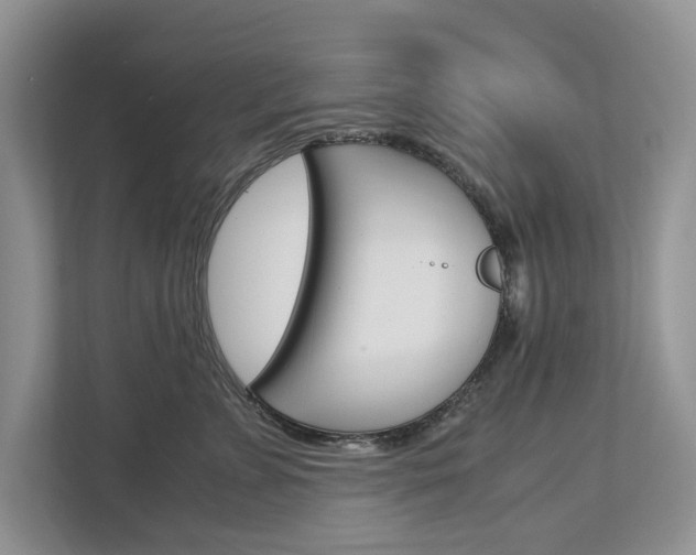 X0000113040715200908271034