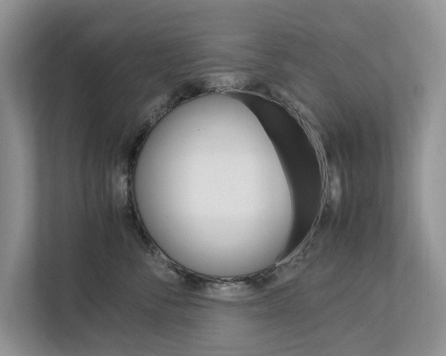 X0000113040716200908271034