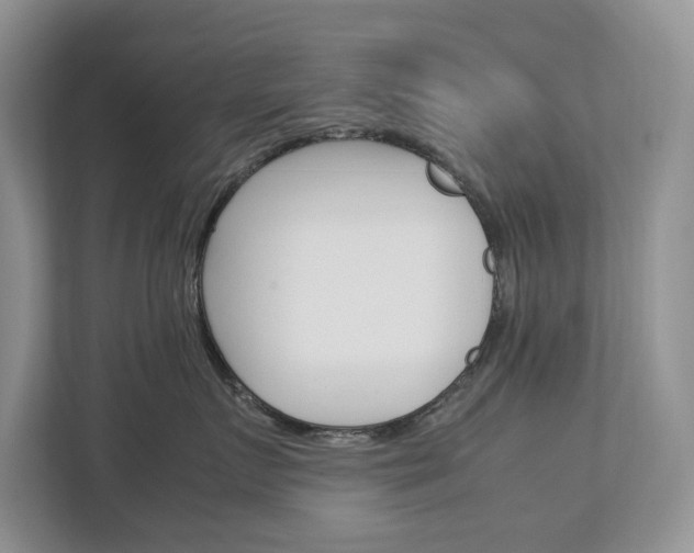 X0000113040719200908271034