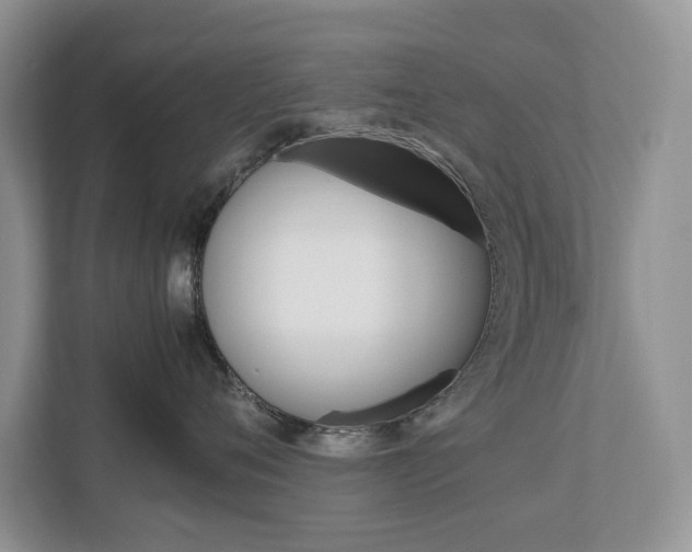 X0000113040720200908271034
