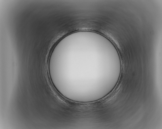 X0000113040721200908271034