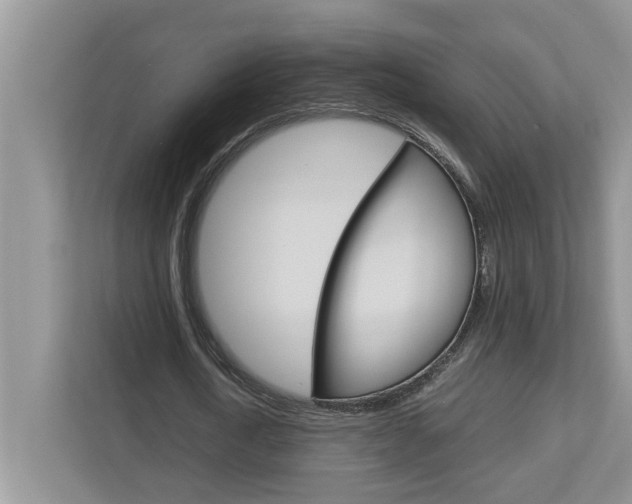 X0000113040722200908271034